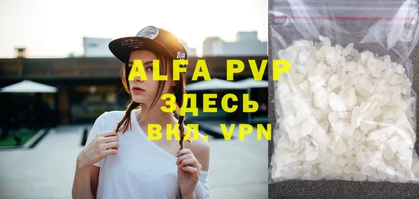 прущие грибы Орехово-Зуево