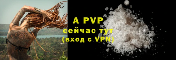 ПСИЛОЦИБИНОВЫЕ ГРИБЫ Магас