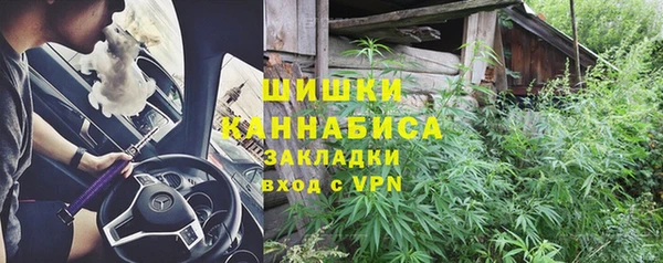 ПСИЛОЦИБИНОВЫЕ ГРИБЫ Магас