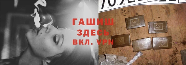 ПСИЛОЦИБИНОВЫЕ ГРИБЫ Магас