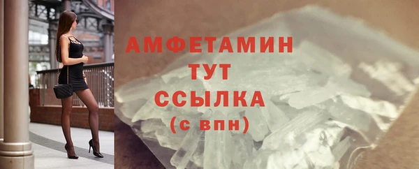 ПСИЛОЦИБИНОВЫЕ ГРИБЫ Магас