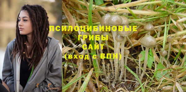 ПСИЛОЦИБИНОВЫЕ ГРИБЫ Магас
