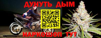сатива Гусев