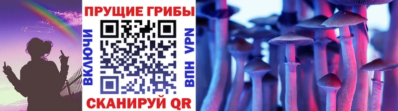 как найти закладки  Сатка  Псилоцибиновые грибы мицелий 