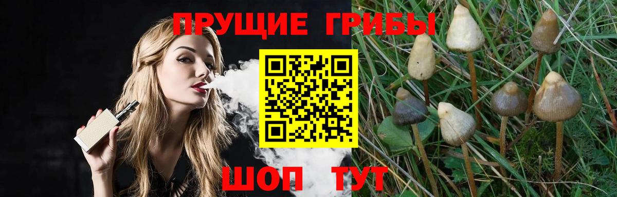 Псилоцибиновые грибы GOLDEN TEACHER  Вход с VPN  магазин продажи наркотиков  Псилоцибиновые грибы мухоморы  Сатка 